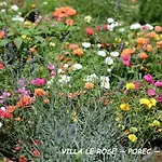 ヴィラ Luxury Le Rose ポレッチ
