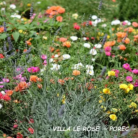 Villa Luxury Le Rose Porec