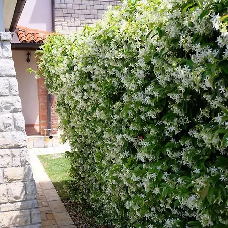 Luxury Le Rose Porec