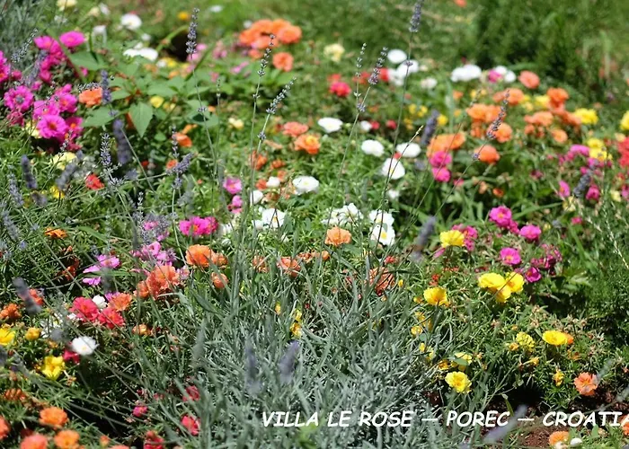 Villa Luxury Le Rose Poreč